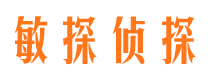 岳池侦探